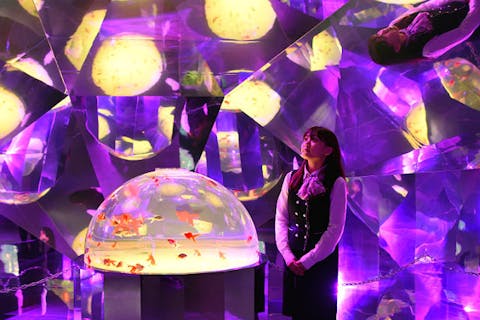  登別マリンパークニクス 入園券