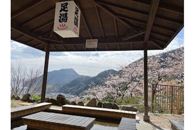 別府ラクテンチ 入園チケット（入園＋ケーブルカー往復乗車券