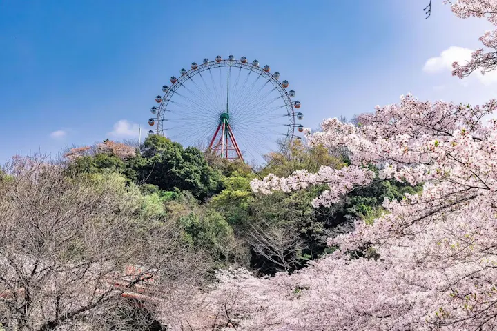 さがみ湖MORI MORI