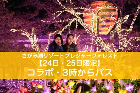 24日 25日限定 すみっコぐらしイルミネーションコラボチケット3時からパス 15時から利用可能 アソビュー