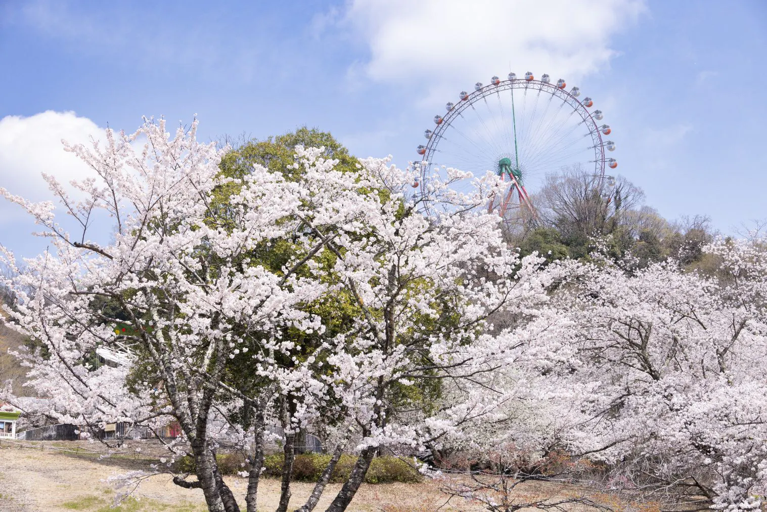 「さがみ湖MORI MORI」入園券