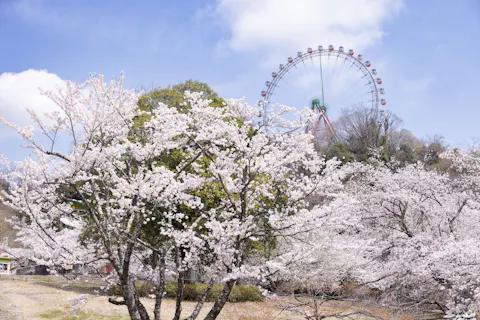 「さがみ湖MORI MORI」入園券