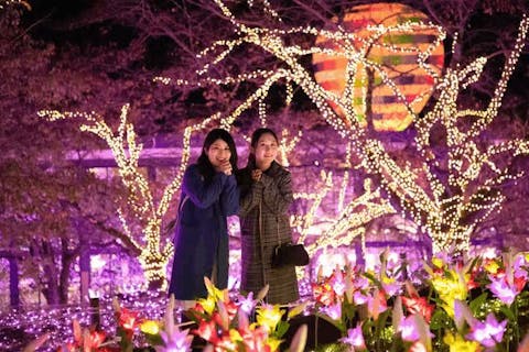 超特割！【最大200円割引】さがみ湖MORI MORIナイトフリーパス※14時～入園＋乗り物乗り放題