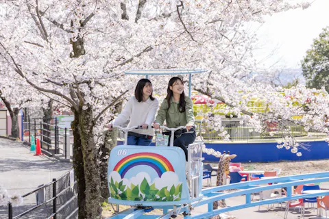 さがみ湖MORI MORI フリーパス(入園＋乗り物乗り放題) 