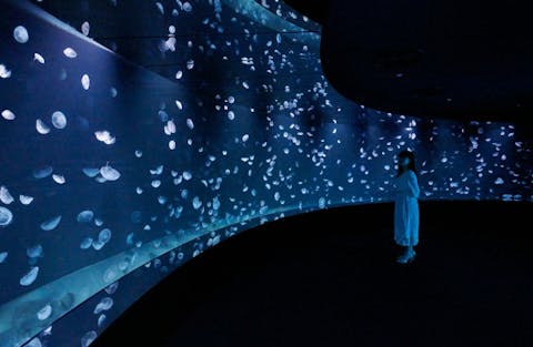 東京 おすすめ水族館まとめ 割引クーポンあり アソビュー