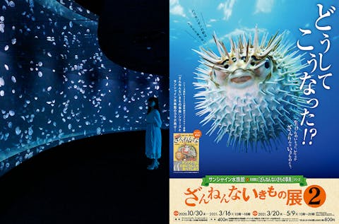 池袋 目白 板橋 赤羽の遊園地 テーマパーク 公園 一覧 遊び予約 レジャークーポン アソビュー 池袋 目白 板橋 赤羽の遊園地 テーマパーク 公園 一覧 遊び予約 レジャークーポン アソビュー
