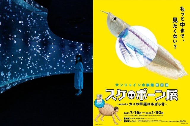 入場日2日前の0時から購入可 サンシャイン水族館 日時指定 スケ ボーン展セットチケット アソビュー