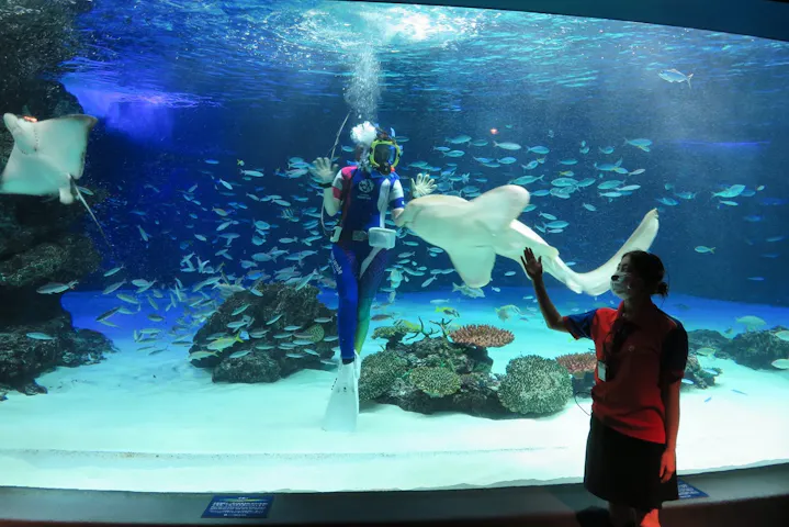 Peuezr4b9bntim Peuezr4b9bntim