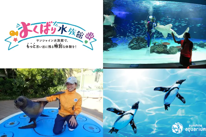 Peuezr4b9bntim Peuezr4b9bntim