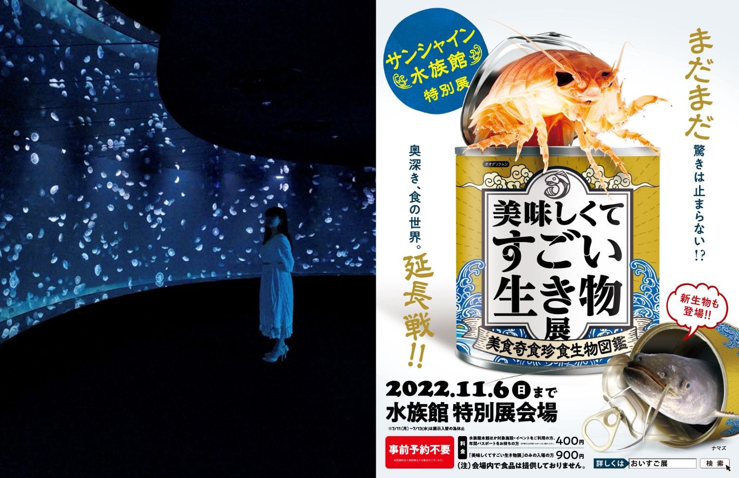 989円 大人の上質 サンシャイン水族館 チケット 2枚 高校生以上 989円 大人の上質 サンシャイン水族館 チケット 2枚 高校生以上