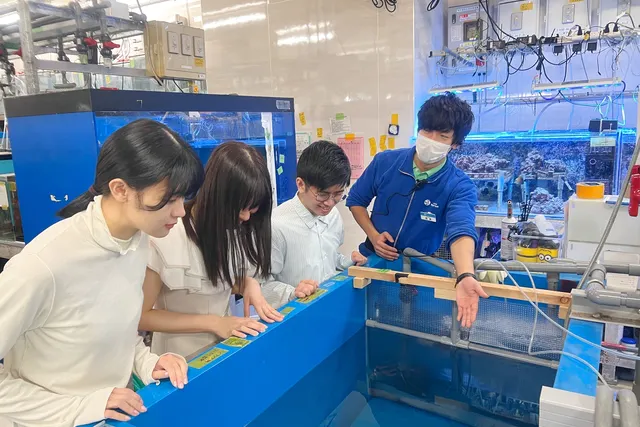 サンシャイン水族館 プルメリア様専用 チケット 大人4枚 年間