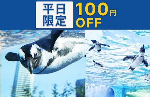 超特割！【平日限定・100円割引】サンシャイン水族館　WEBチケット（※土日祝・特定日は利用不可）
