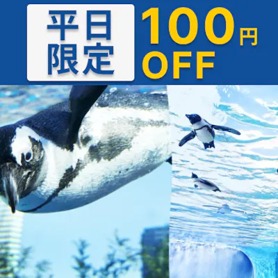 超特割!【平日限定・100円割引】サンシャイン水族館 WEBチケット 超特割!【平日限定・100円割引】サンシャイン水族館 WEBチケット