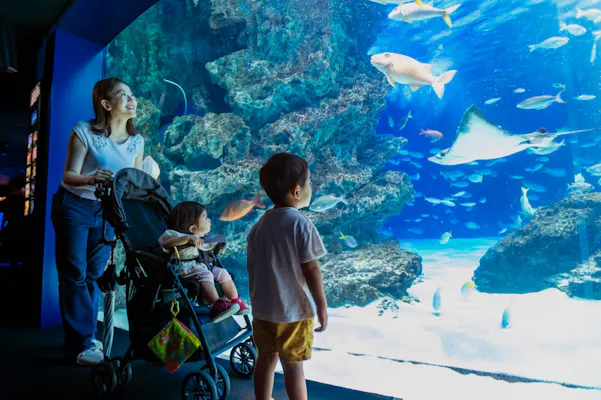 超特割！【平日限定・100円割引】サンシャイン水族館 WEBチケット