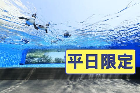 超特割！【平日限定・100円割引】サンシャイン水族館　WEBチケット（※土日祝・特定日は利用不可）