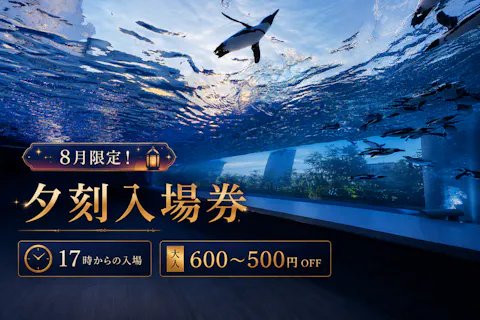 2名以上でお得！8月限定！【夕刻入場券“集い”～サンシャイン水族館～】※17時からの入場で大人600～500円OFF