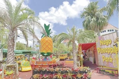 【周遊券】ナゴパイナップルパーク＆古宇利オーシャンタワー 前売セット券