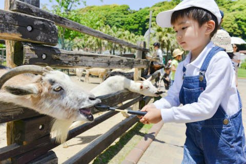 長崎の遊園地 テーマパーク 公園 一覧 遊び予約 レジャークーポン アソビュー