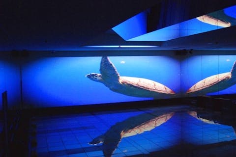 【平日限定・30円割引】昭島温泉 湯楽の里 クーポン（岩盤浴※フリータイム＋タオル＋ソフトドリンク）