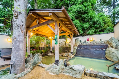 ★4歳~小学生限定【最大55％割引】所沢温泉 湯楽の里 入館チケット