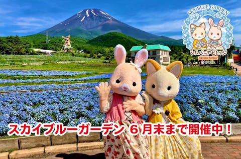 【最大300円割引】遊園地ぐりんぱ ワンデーパス（入園券＋1日乗り物券）