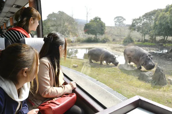本物の 姫路セントラルパークチケット 遊園地 テーマパーク Www Aquariumboka Ucg Ac Me