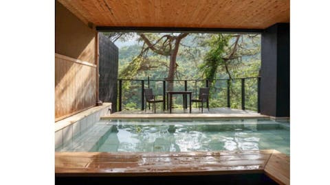 【日光市民限定・源泉かけ流し】リブマックスリゾート鬼怒川 チケット