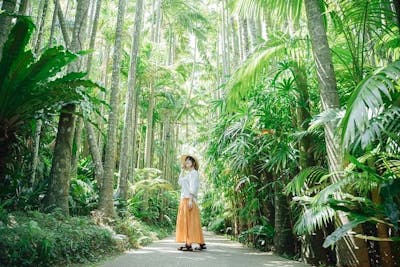 美らヤシパークオキナワ・東南植物楽園｜割引チケット・クーポンなら