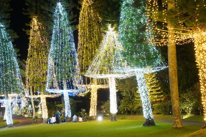 11 割引 東南植物楽園 割引チケット クーポンならアソビュー 11 割引 東南植物楽園 割引チケット クーポンならアソビュー