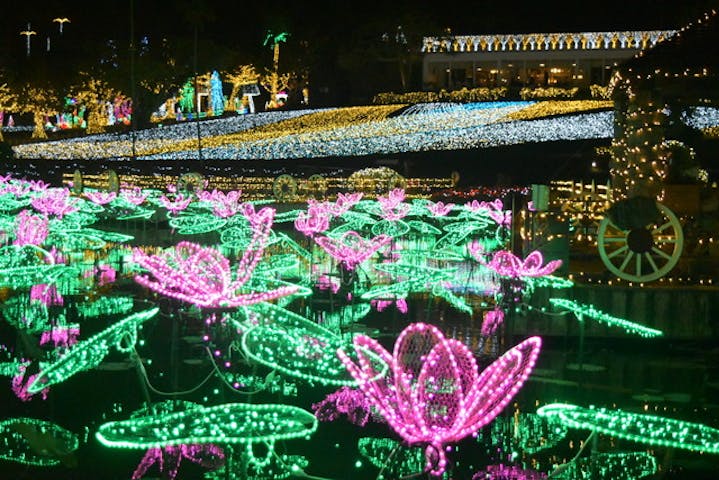 11 割引 東南植物楽園 割引チケット クーポンならアソビュー