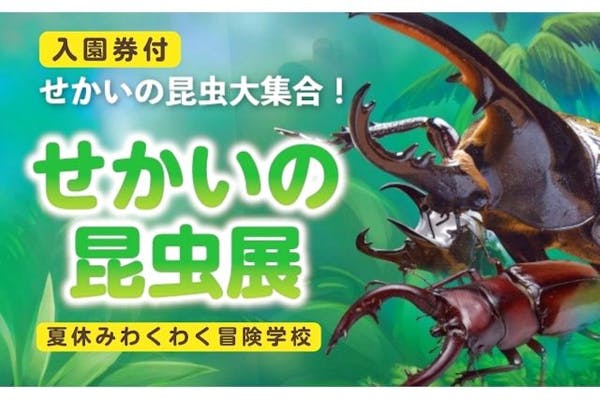 今だけ限定15%OFFクーポン発行中 ぽんたんだぬき様専用 昆虫展 佐川