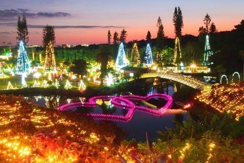 ＜夜の部 ｜17:00～22:00＞沖縄南国イルミネーション入園チケット