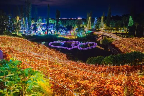 朝限定】蓮の葉で水を飲む！？五感で楽しむハス体験ツアー｜アソビュー！