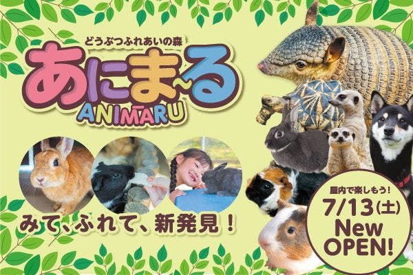 昼の部入園券（9:30-17:00)＋あにま～る入場券付きセットプラン