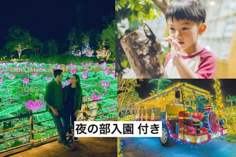 【ナイトお楽しみ2パス付】夜の部入園