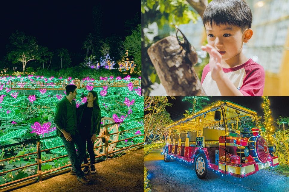 美らヤシパークオキナワ・東南植物楽園のチケット購入・予約