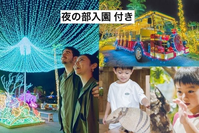 【ナイトプレミアム3パス付】+夜の部入園