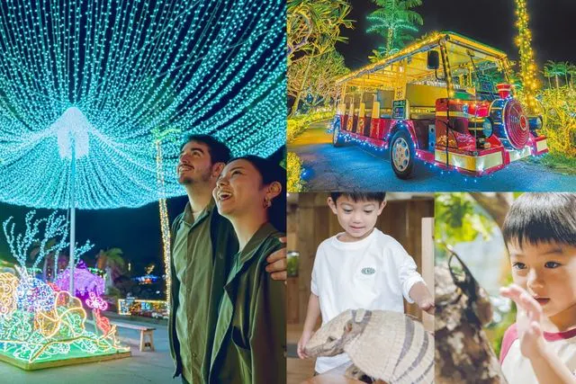 プレミアム3パス付】+夜の部入園 - 美らヤシパークオキナワ・東南植物楽園
