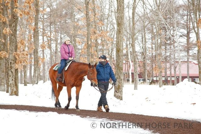 冬期】ノーザンホースパーク 入園チケット - ノーザンホースパーク