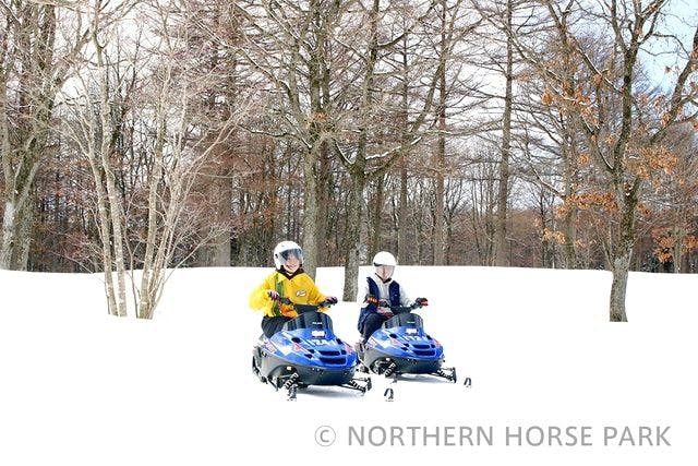 冬期】ノーザンホースパーク 入園チケット - ノーザンホースパーク