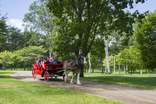 冬期】ノーザンホースパーク 入園チケット｜アソビュー！