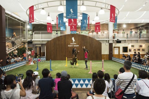 【冬期】入園＋アクティビティパスのセットチケット