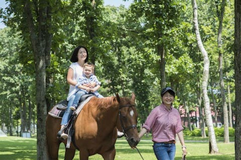 超特割！【25%割引】ノーザンホースパーク 入園チケット　※11月5日まで