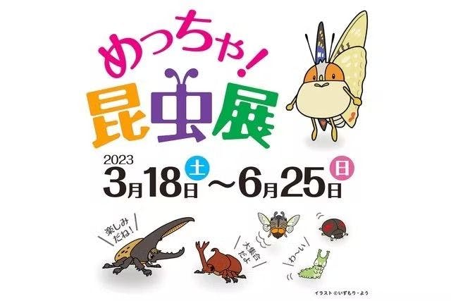 ひらかたパーク 「めっちゃ！昆虫展」入場券（ひらかたパーク入園特典付き）＋フリーパス引換券