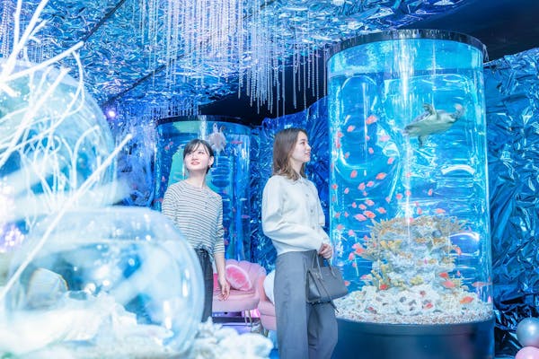 1日券】フリーパス引換券｜アソビュー！