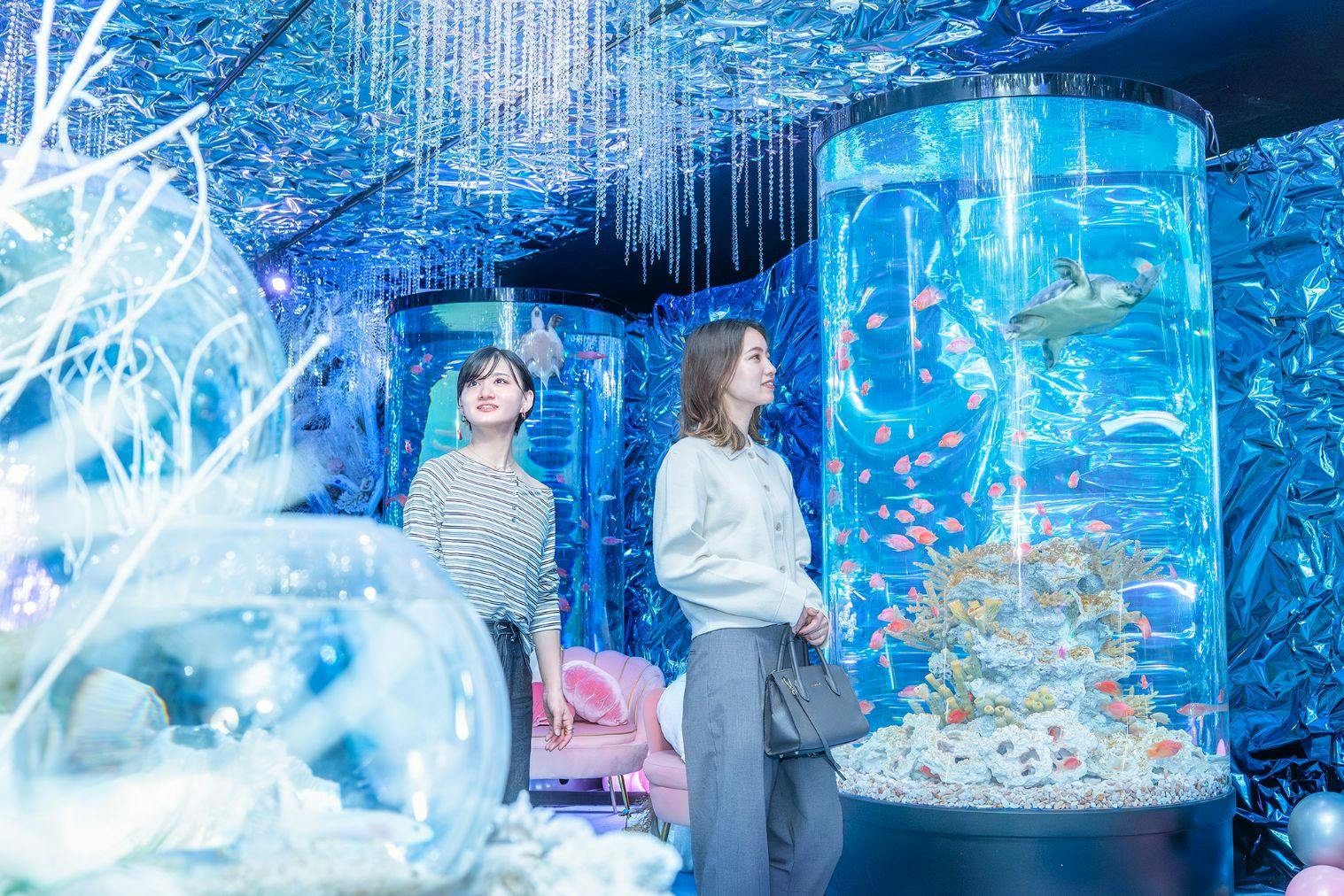 アソビュー！限定】ひらかたパーク 入園券+ウインターカーニバル入場券