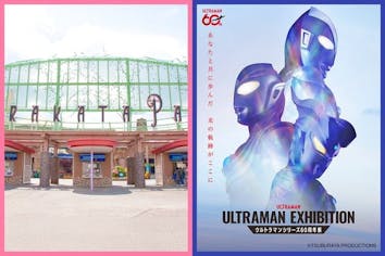 ウルトラマンワールドⅡ開催記念入場券 ダイナ 前売券】ULTRAMAN EXHIBITION -ウルトラマンシリーズ60周年展- in