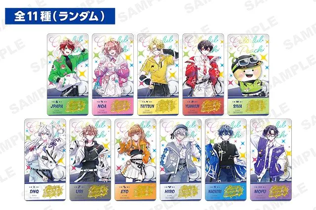 前売券【日付指定券】入園券＋ザ・ブーン（プール）入場券＋「日本全国