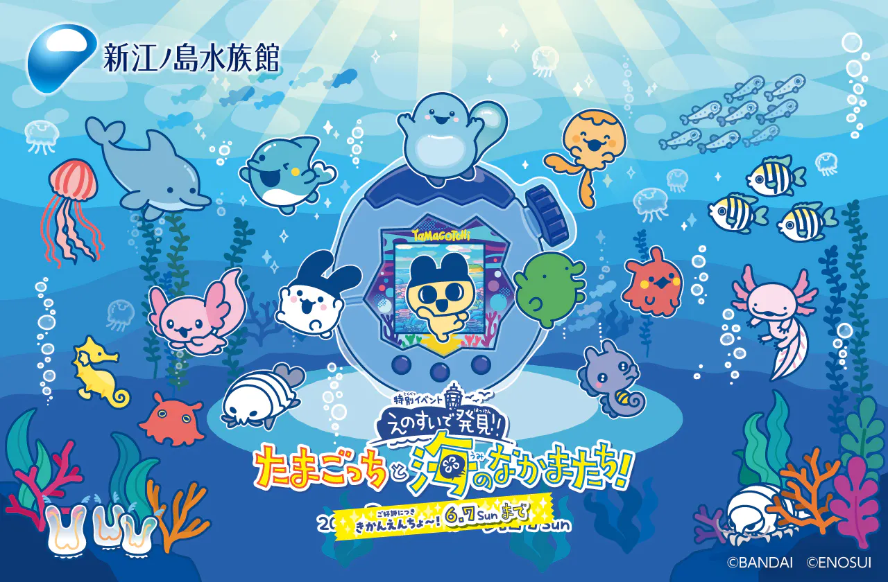 5%割引クーポン】新江ノ島水族館の前売りチケット・割引情報