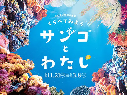 江ノ島水族館えのすい４枚チケット 1253-1.jpg
